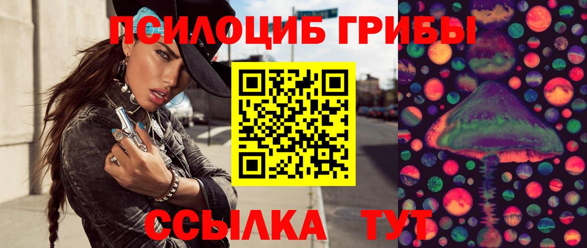 Галлюциногенные грибы Cubensis Лесосибирск