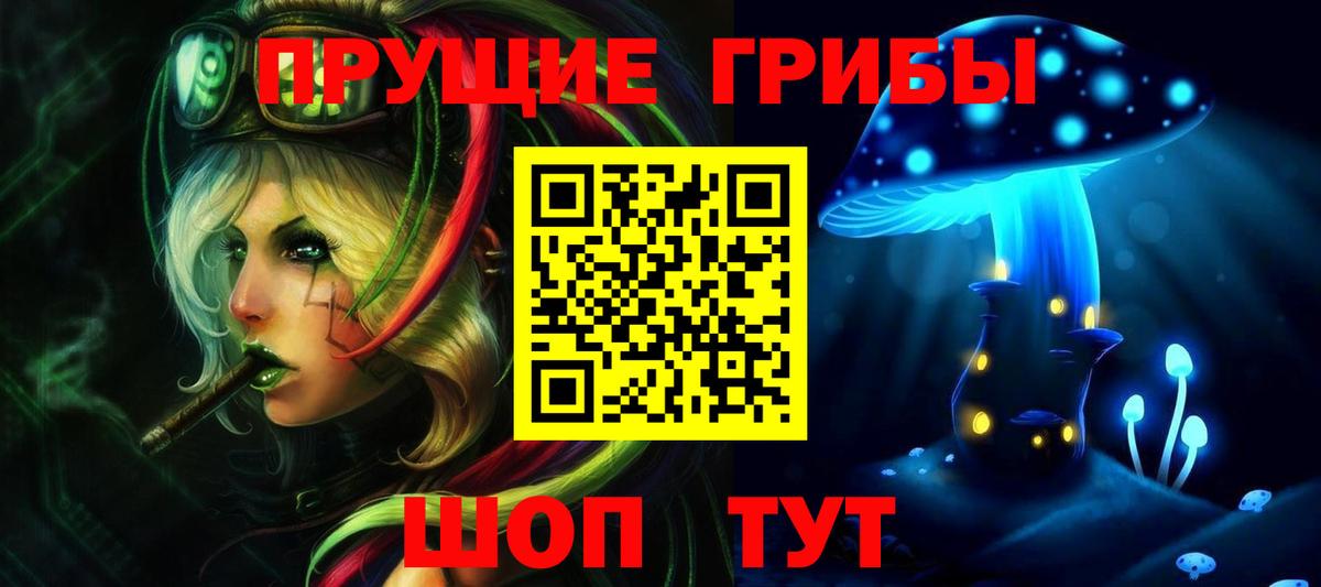 Лесосибирск  Галлюциногенные грибы прущие грибы  Псилоцибиновые грибы Psilocybe  купить наркоту  Вход с VPN 
